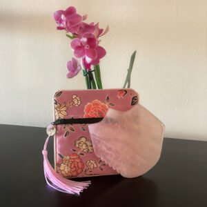 Gua Sha In-A-Bag